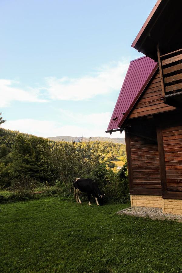 Cottage "Karpatske Shale" Yaremche Exterior photo