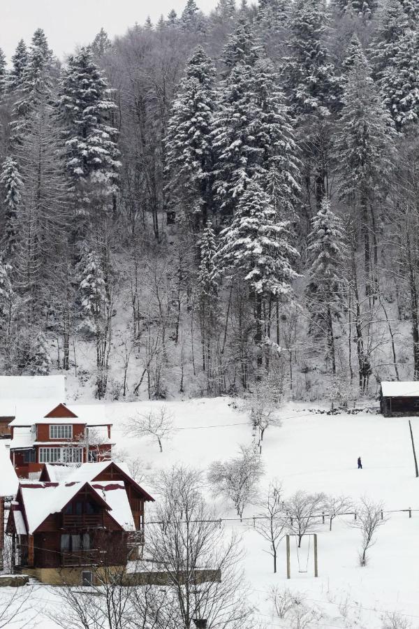 Cottage "Karpatske Shale" Yaremche Exterior photo